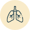 Respiratory monitoring
and advanced lung Icon